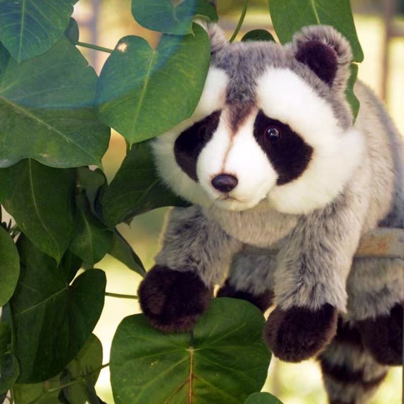 RACCOLIA™ – Peluche Raton Laveur Ultra Douce